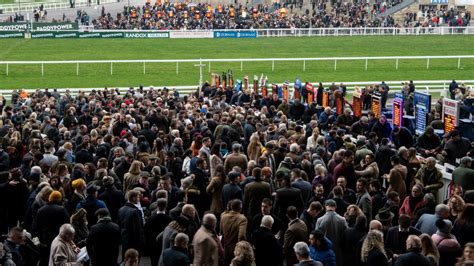 Cheltenham Festival 2020: date, time, runners, riders, tips and more.